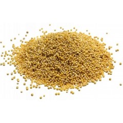 Grains Hulled Millet (1x25LB )